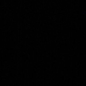 Meet your Posher, Ericka